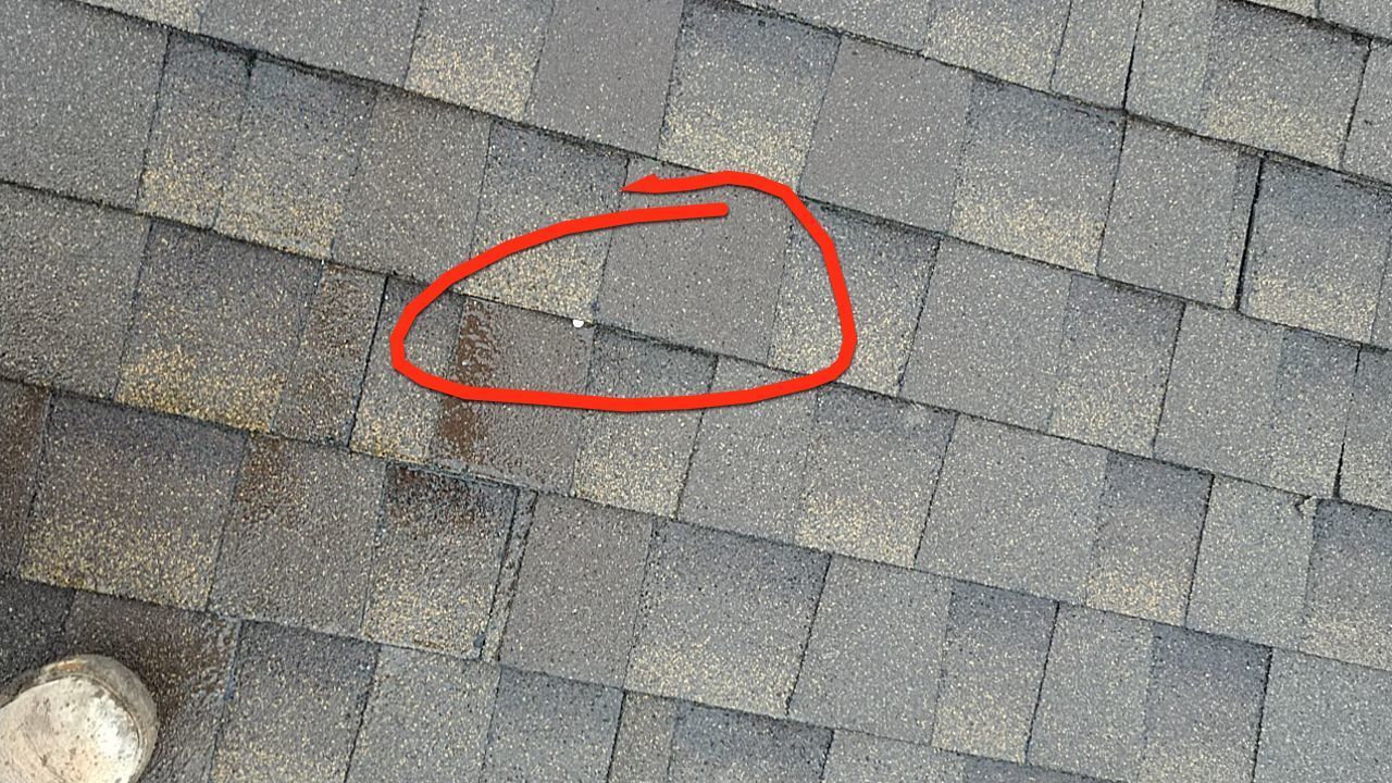 Free Roof Inspection in the Lowcountry