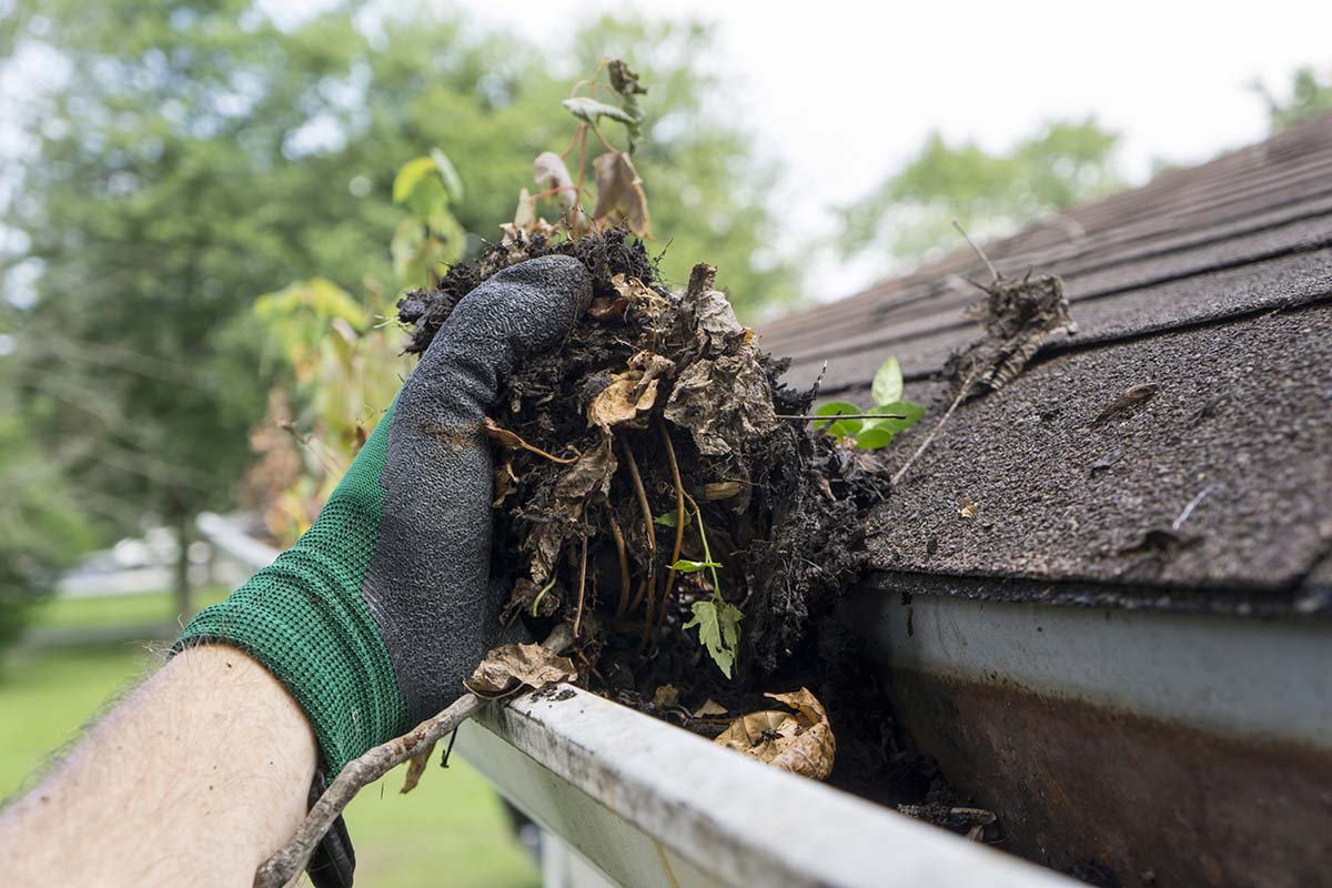 Gutter Cleaning in the Lowcountry