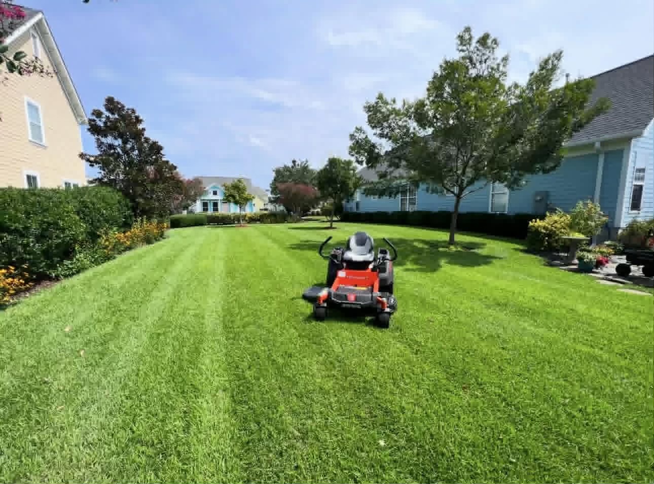 Landscaping in the Lowcountry