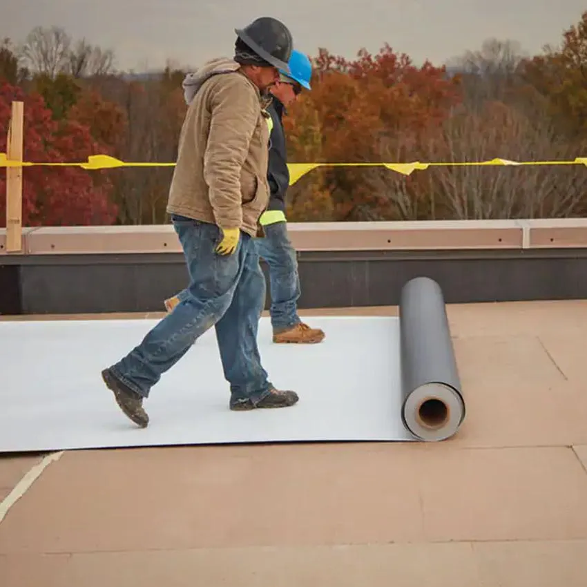 TPO Roof Repair Featured Image