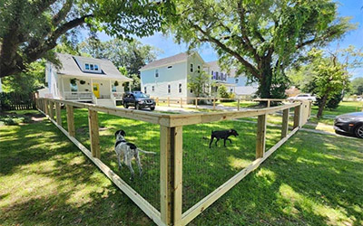 Wire Fencing Featured Image